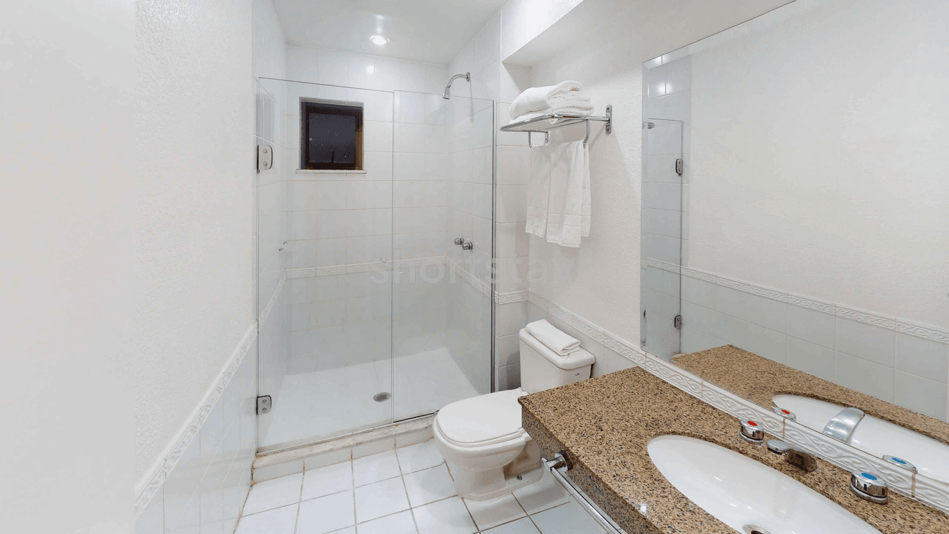 Ambassador - Image 1